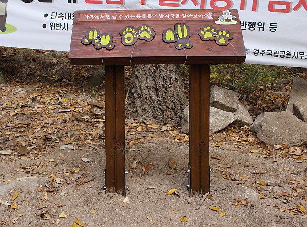경주박물관 암곡에서 만날 수 있는 동물