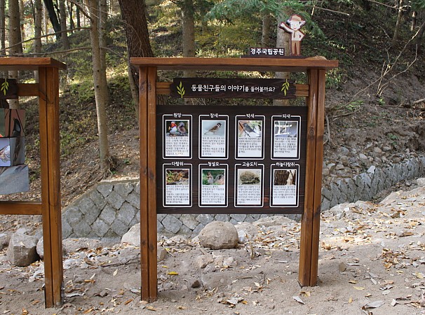 경주국립공원 동물친구들의 이야기
