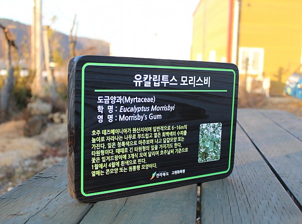 수목표찰