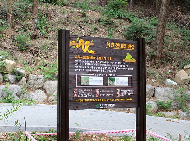화원 천내리 뱀산